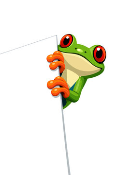 a cute tree frog peeking over the edge of a blank