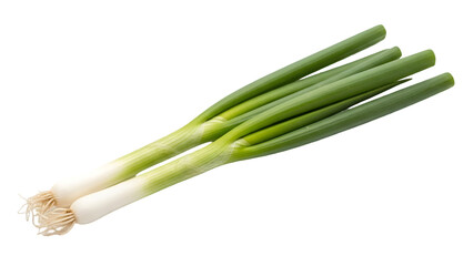 A bunch of fresh green onions isolated on transparent background