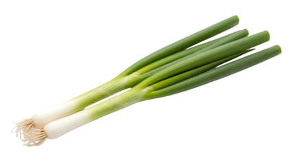 A bunch of fresh green onions isolated on transparent background