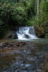 waterfall in the forest