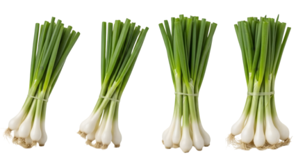Four bunches of fresh green onions isolated on transparent background