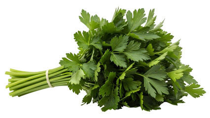 Fresh bunch of parsley isolated on transparent background
