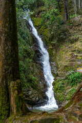 Obraz premium waterfall in the forest