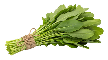 Freshly harvested bunch of green leafy vegetable isolated on transparent background