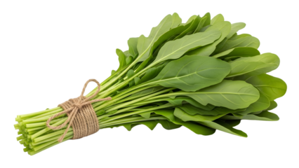 Freshly harvested bunch of green leafy vegetable isolated on transparent background