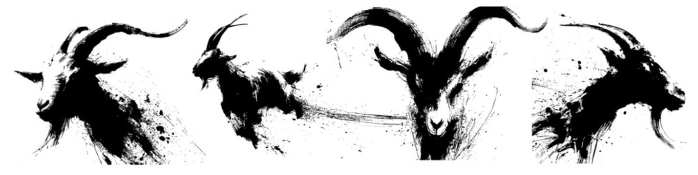 Chinese new year goat zodiac brush painting with dynamic ink strokes on white background