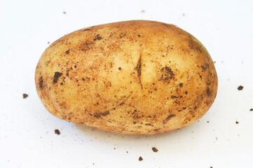 a single potato with soil on white background