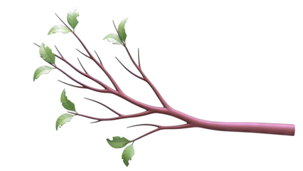 Tree Branch with Green Leaves