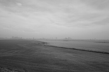 CAMPAGNE VERCELLESI LUNGO LA VIA FRANCIGENA