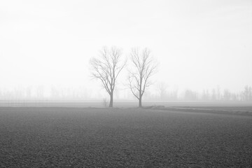 CAMPAGNE VERCELLESI LUNGO LA VIA FRANCIGENA