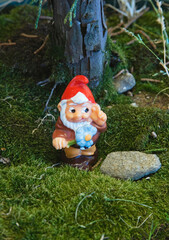 gnome with red cap  in the forest