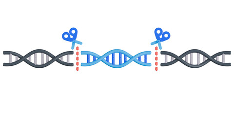 3D medical illustration depicting CRISPR Cas9 technology with scissors cutting a DNA strand to replace a segment.