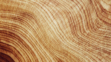 Natural wooden background, close up wood annual rings form. Top view of cross section of juniper tree, graphic nature organic pattern. Sawed timber with tree ring print, natural textures banner