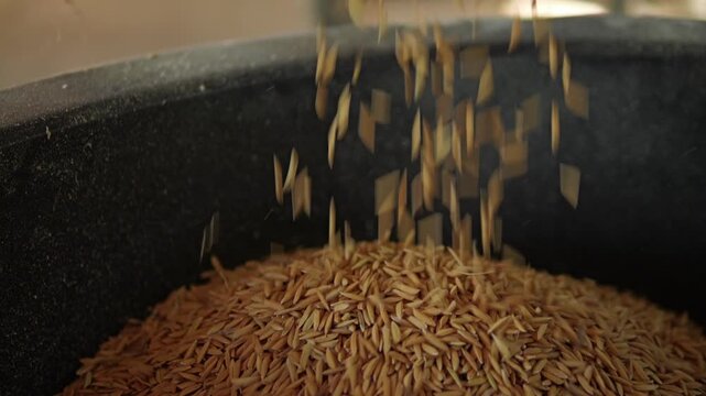 Slow Motion rice grains are falling as they are being filtered out of contaminants; camera close-up and upward angle.
