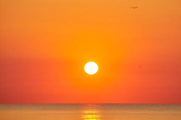 Sunrise Over Calm Ocean