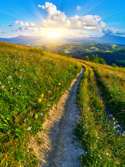 Dirt Path Through Mountain Meadow