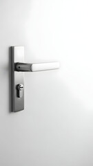Modern Silver Door Handle on White Door.
