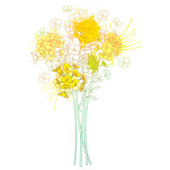 Bouquet with outline Alyssum flower with leaf in pastel yellow isolated on white background.