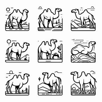Set of nine black line art illustrations of camels in various desert poses on a white background with minimalist landscape details.