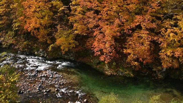 秋の渓流