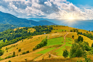 Dirt Path Mountain Slope Landscape