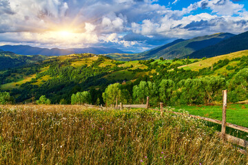 Mountain Meadow Fence Wildflower Landscape
