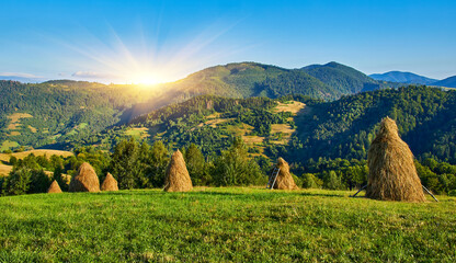 Haystacks on Mountain Slope Summer Landscape