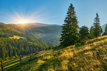 Mountain Slope Fence Tree Morning