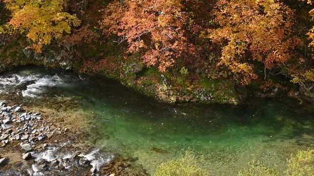 秋の渓流