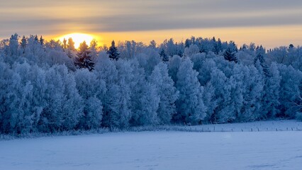 Sunset Picture of Norwegian Countryside Environment Field Landscape Covered in Snow Winter Nature Horizontal Photo