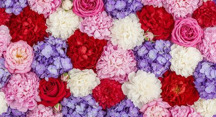 Beautiful wall made of red violet purple flowers, roses, tulips, press-wall, background, valentines day background