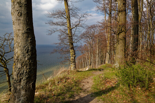 Blick vom Berg Gosan im Nationalpark Wollin &uuml;ber die Ostsee, Insel Wolin,Woiwodschaft Westpommern, Polen