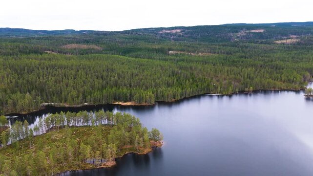 high altitude norway pine covered hills patchy clearings dark forest lakes winding roads thread through rugged woodland landscape from drone view aerial 