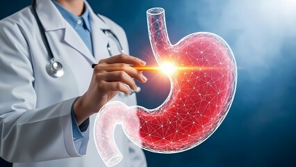Medical doctor points to a glowing digital visualization of the human stomach and digestive system.