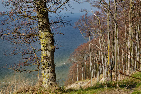 Blick vom Berg Gosan im Nationalpark Wollin &uuml;ber die Ostsee, Insel Wolin,Woiwodschaft Westpommern, Polen