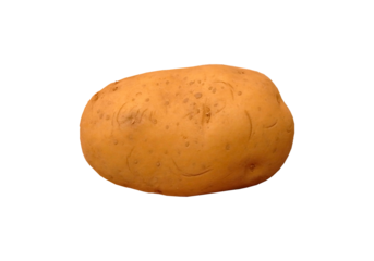 Patata cruda entera de piel marrón aislada 