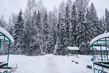 Russia, Saint Petersburg, 11.01.2026 Snow covered pine forest with a pathway leading to picnic shelters. Winter outdoor recreation and cold nature landscape for travel and vacation.