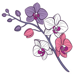 vector flowers image free download.