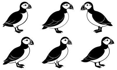 Fototapeta premium Five Black and White Puffin Birds Silhouettes on White Background
