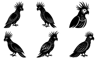 Obraz premium Five Black and White Silhouettes of Cockatoos with Crests on White Background bird