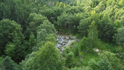 High Tatras mountains forest aerial view