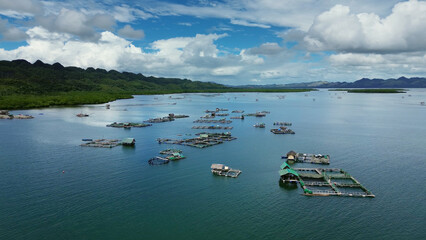 Fish farm with cages for fish and shrimp