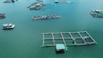 Fish farm with cages for fish and shrimp