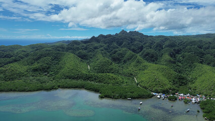 Mangrove sea landscape in tropical coastal region