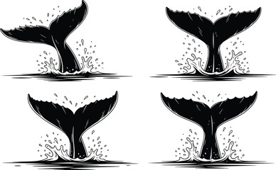 Whale, tail, set, ocean, splash, line, art, black, white, silhouette, marine, animal, nature, wildlife, cad, drawing, flat, vector, illustration, isolated © Mohsana