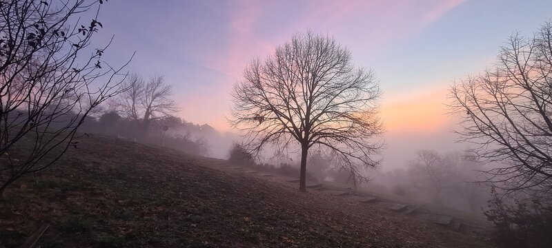 sunrise in the fog - Powered by Adobe