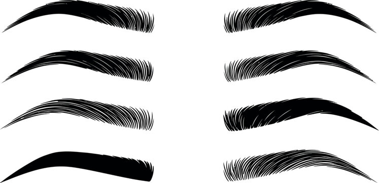 Collection of different eyebrow shapes and styles