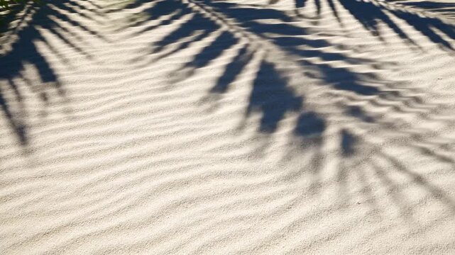 Shadows of palm leaves on textured sandy surface. The scene captures a tranquil beach atmosphere with soft, wavy patterns in the sand.