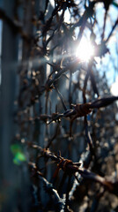Wire Fence with Sunlight Breaking Through