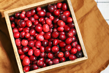 Fresh ripe cranberry harvest